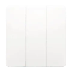 PL132