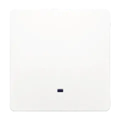 PL111L